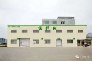 萬眾期待，終于等到你——華西農副產品交易中心水果區9月18日盛大開業